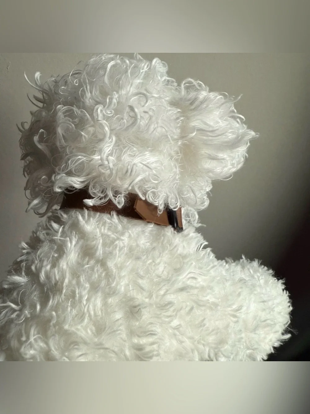 Ty Classic WILLOW Bishon Frise White Curly 10” Silk Plush w/ Brown Collar 2005